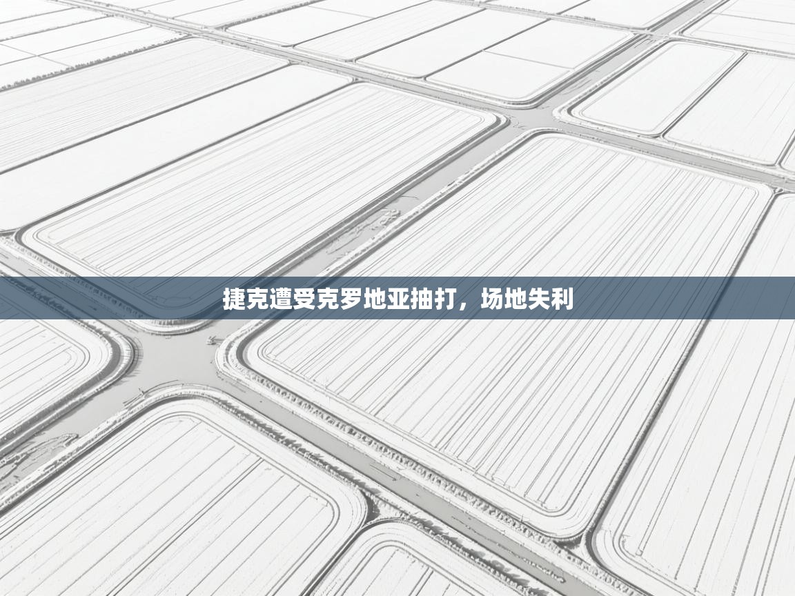 捷克遭受克罗地亚抽打，场地失利