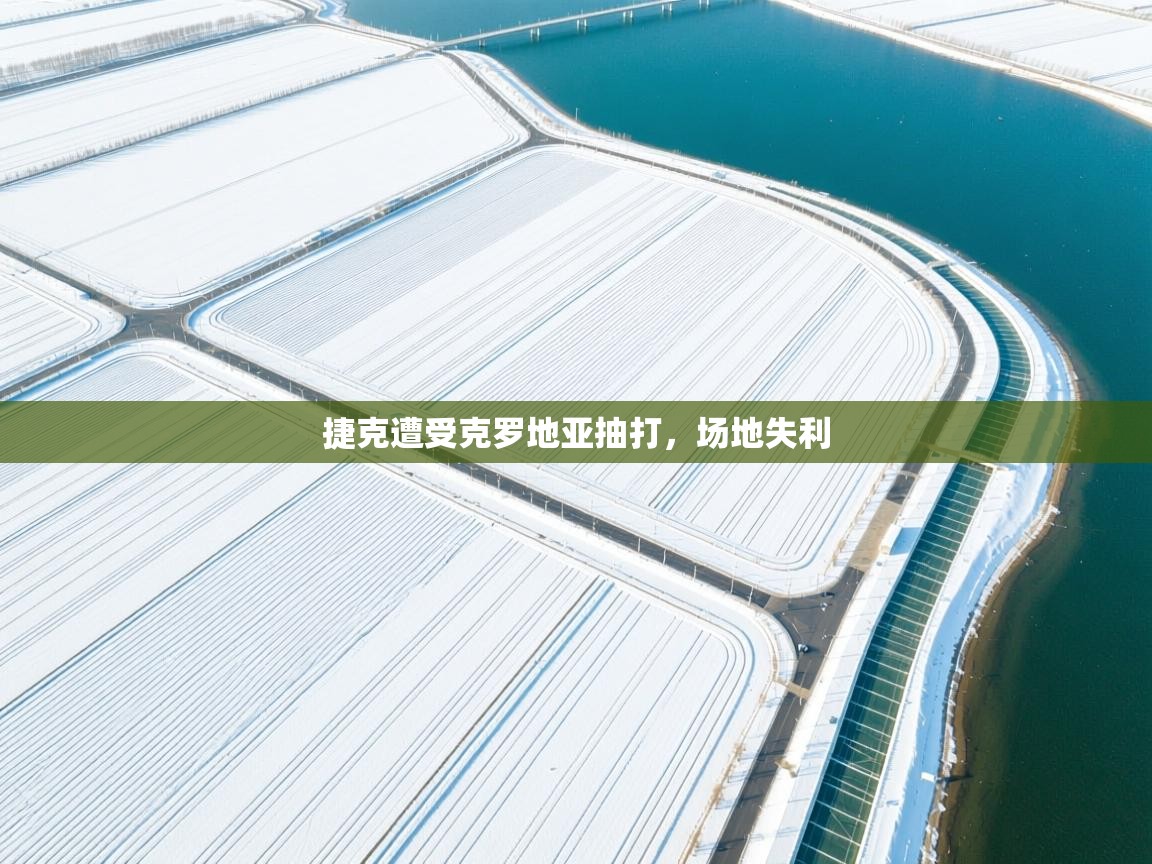 捷克遭受克罗地亚抽打，场地失利